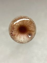 Handmade Blythe Eyechips, Brown Tone, Realistic