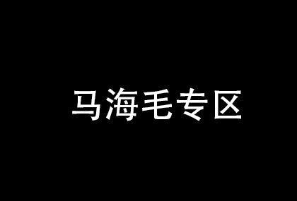 ZhuangXiu-1