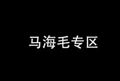 ZhuangXiu-1