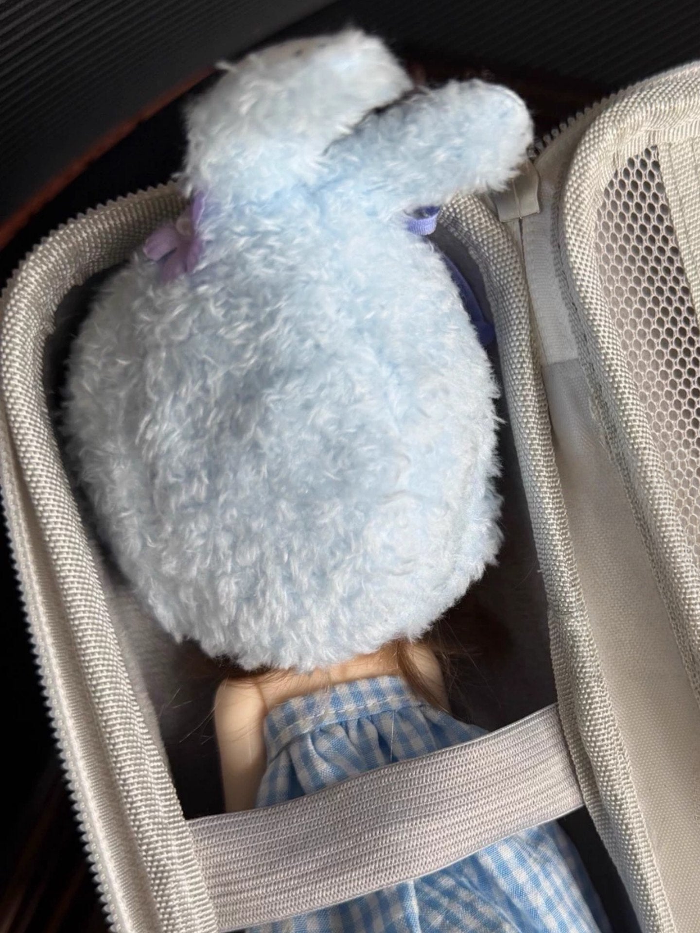 Blue Bunny 1/6 BJD Outfit Detail | ToastDoll