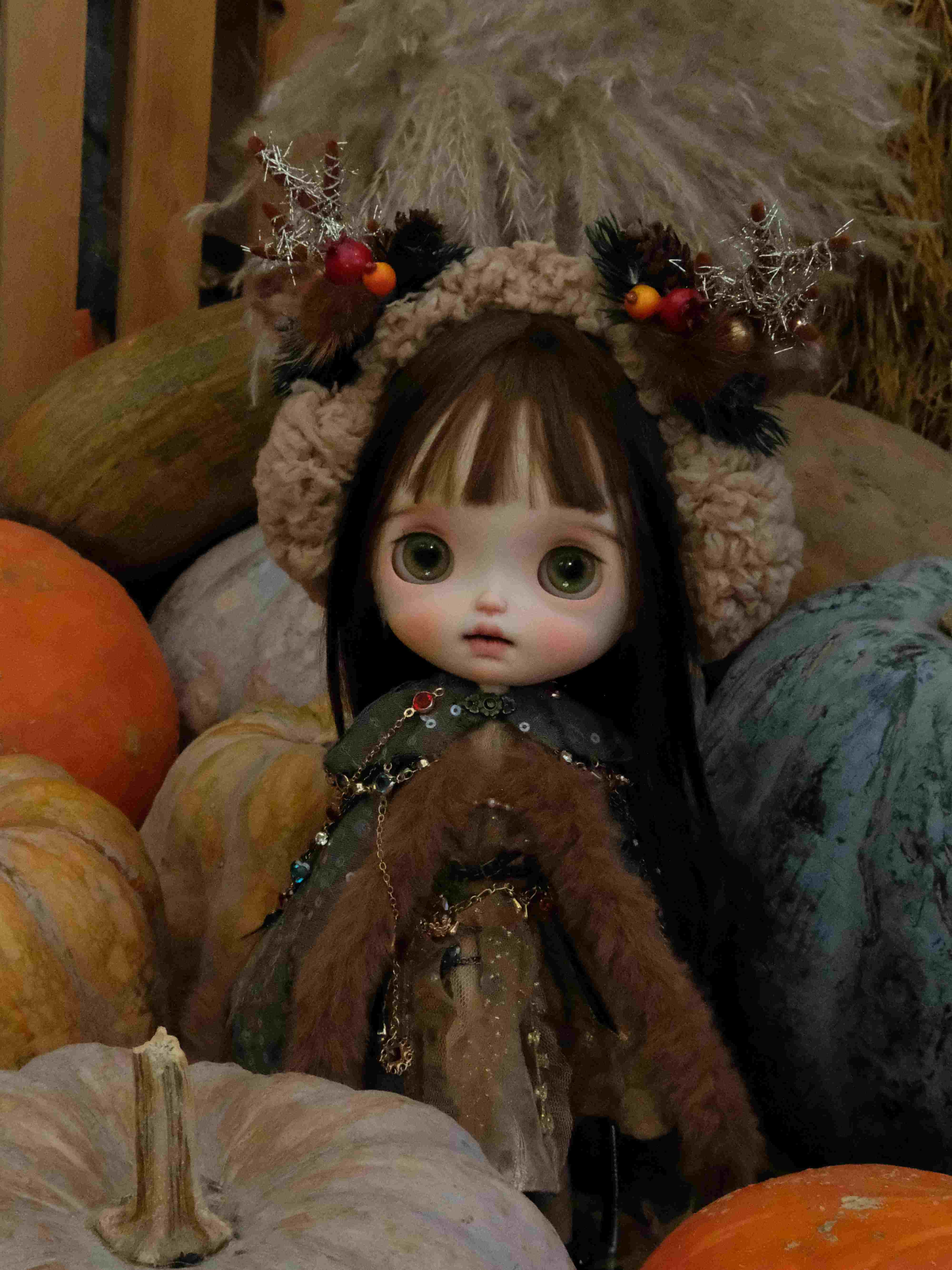 Handmade Outfit for Blythe/Obitsu, Woodland Faun Cape Dress Set