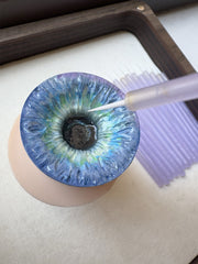 Disposable Detail Brushes