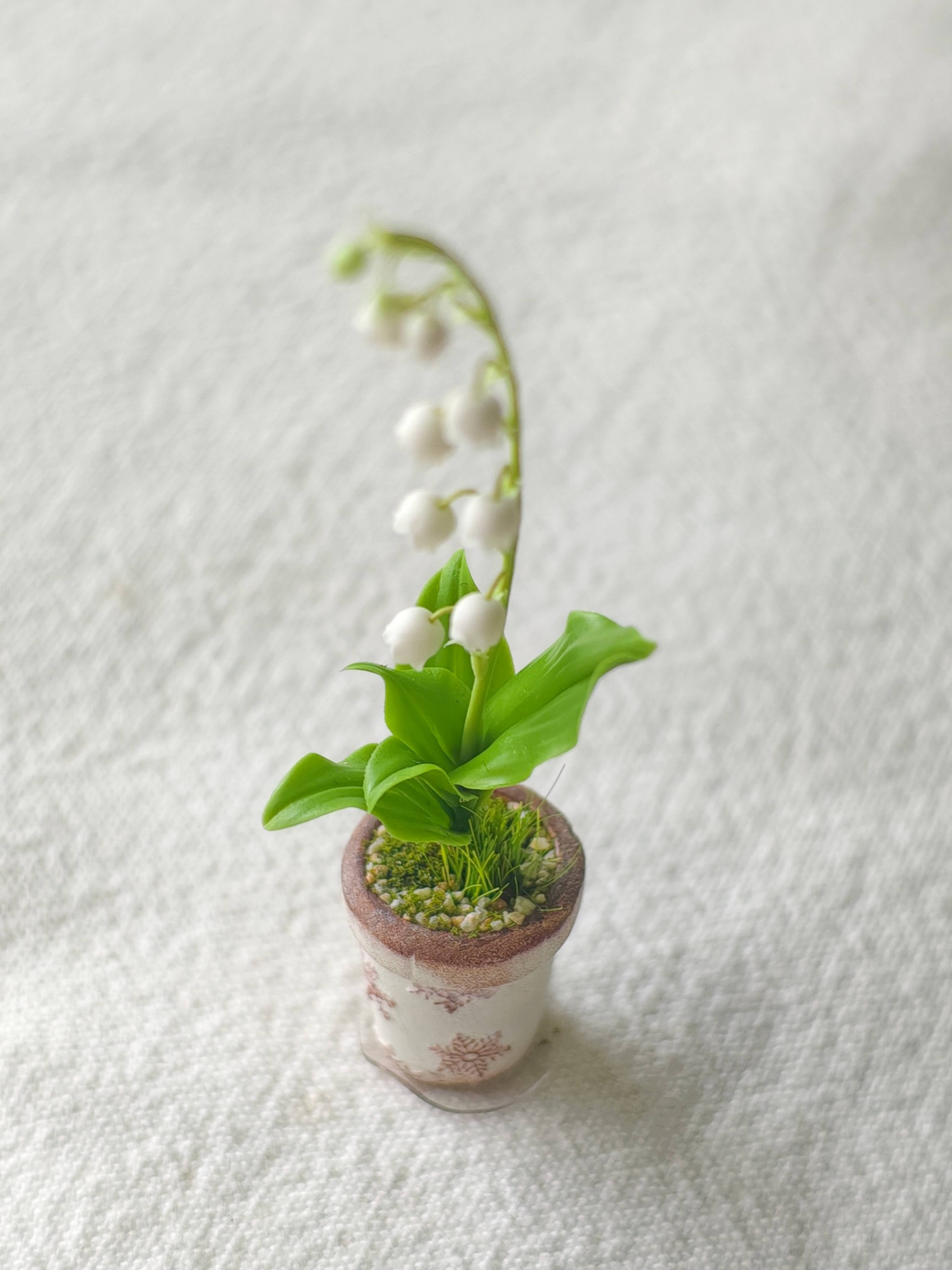 Lily of the Valley Potted Plant Front View | ToastDoll