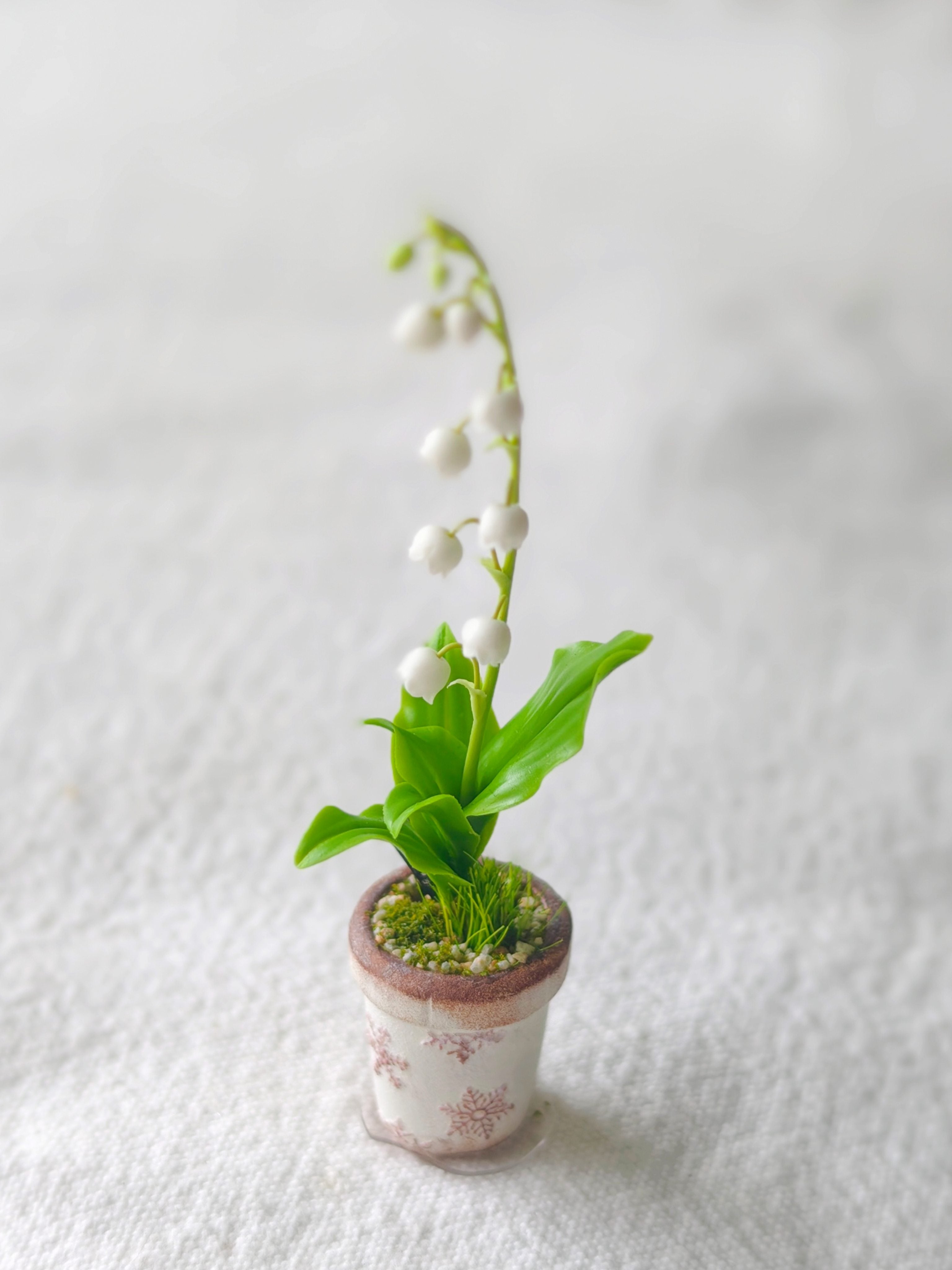 Lily of the Valley Potted Plant | ToastDoll