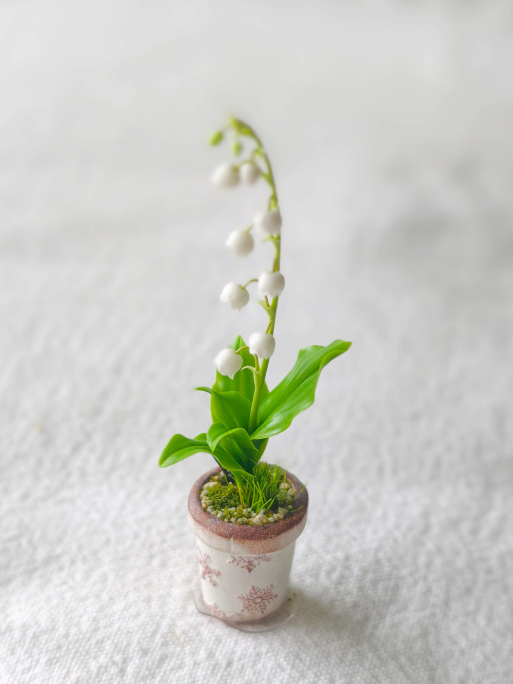 Lily of the Valley Potted Plant | ToastDoll