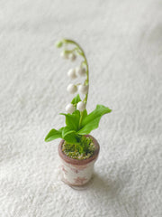 Lily of the Valley Potted Plant Front View | ToastDoll